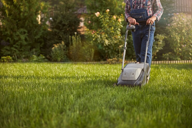 How Florida Soil Types Impact Lawn Irrigation Efficiency