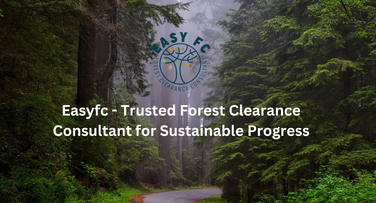 Forest Clearance Granted for 937-Hectare Iron Ore Beneficiation Plant in Gadchiroli: A New Industrial Push in the Red Corridor