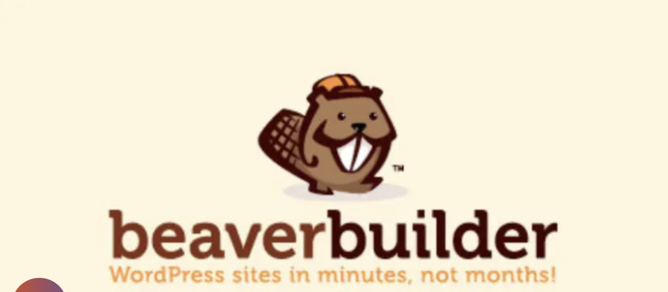 🔨 Why Beaver Builder Pro Is the Secret Weapon for Building Fast, Flexible WordPress Sites