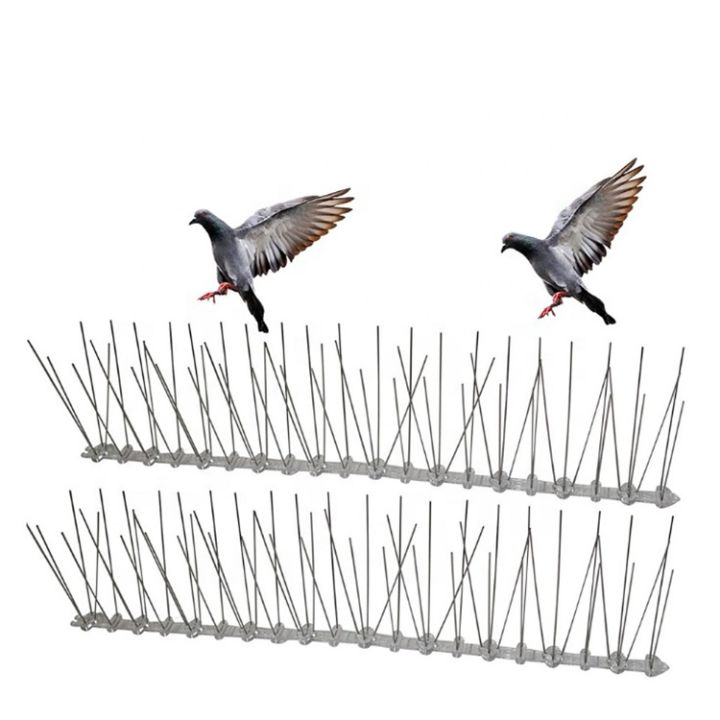 Use Dubai's Best Bird Spikes to Keep Birds Away
