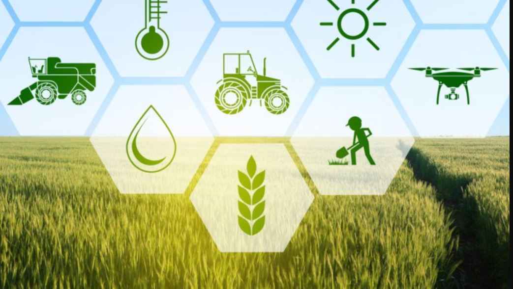 AgriNeural Networks: Machine Learning-Driven Equipment for Scalable and Sustainable Crop Management