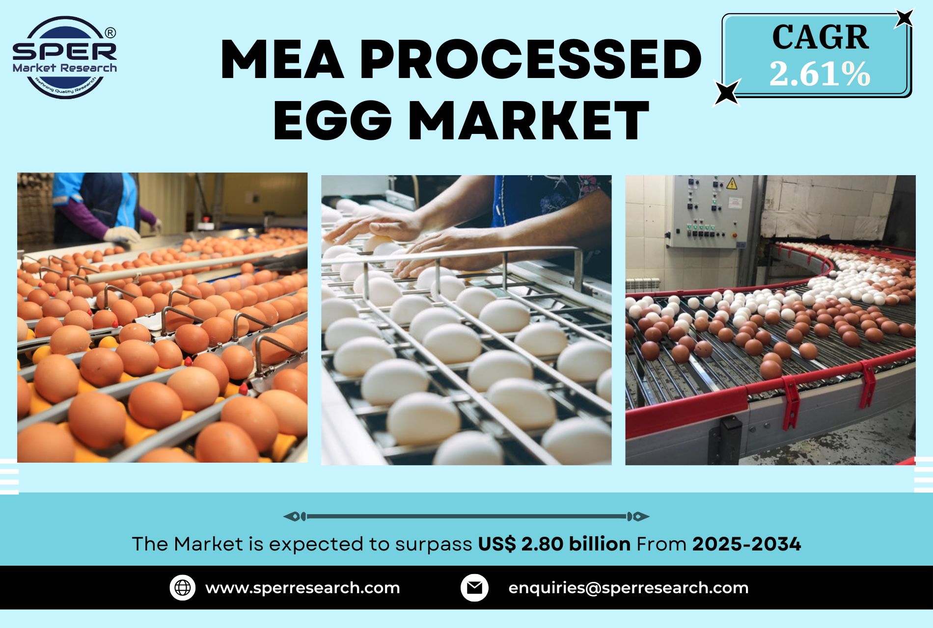 Middle East And Africa Processed Egg Market Growth Analysis 2033