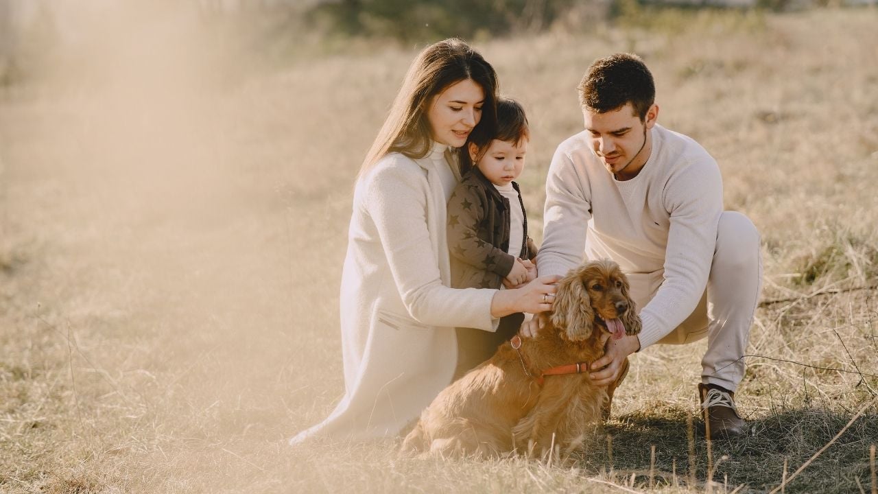 aile ve Cocker Spaniel