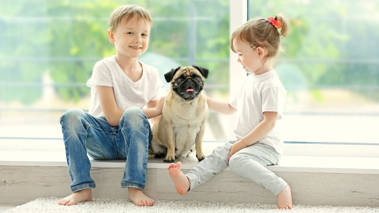 çocuklar ve Pug