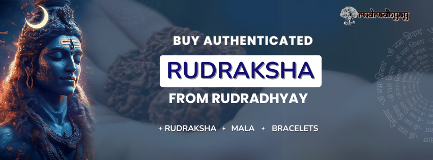 Discover the Purpose of Each Mukhi: 3, 4, 6, 11 & 12 Explained