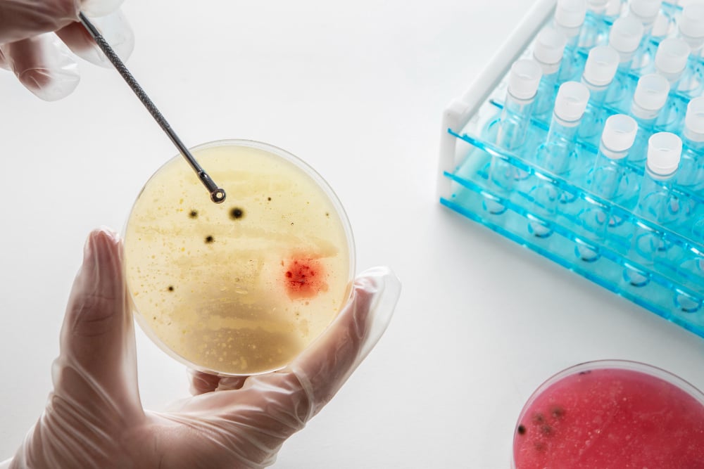 Navigating the Mantle Cell Lymphoma Market: Investment Insights and Commercial Opportunities