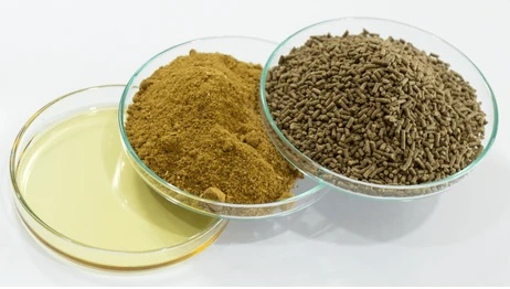 Feed Premix Manufacturing Plant Project Report 2025, Requirements, and Setup Cost
