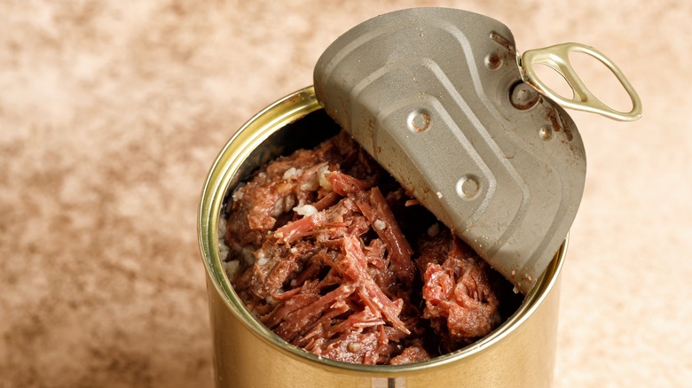 Canned Meat Manufacturing Plant Project Report 2025: Materials Cost and Requirements