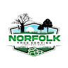 norfolk tree
