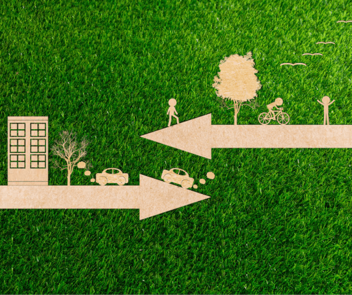 Protected Area Management in Dubai: Balancing Conservation and Sustainable Tourism