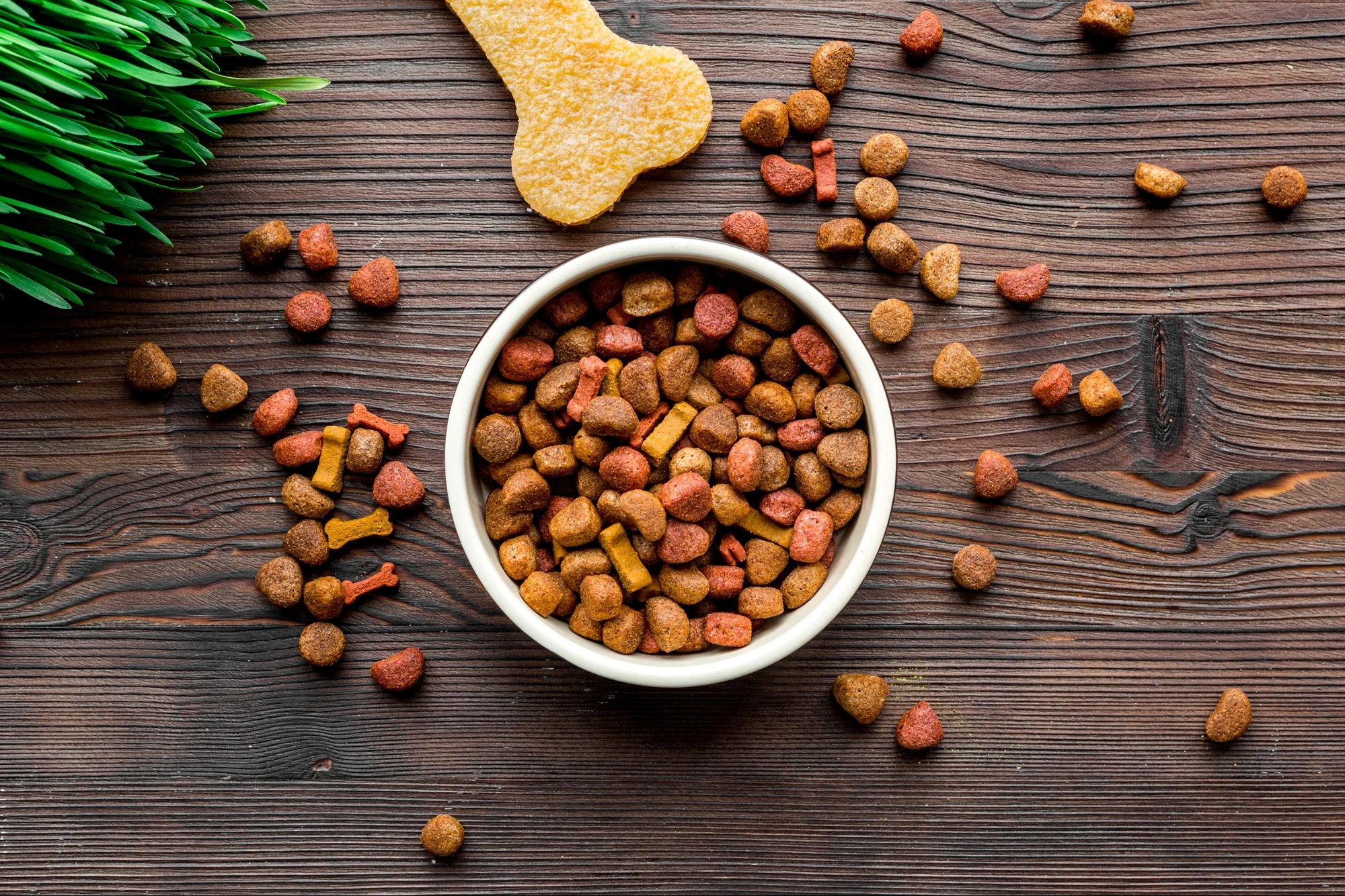 Cat Food Dry
