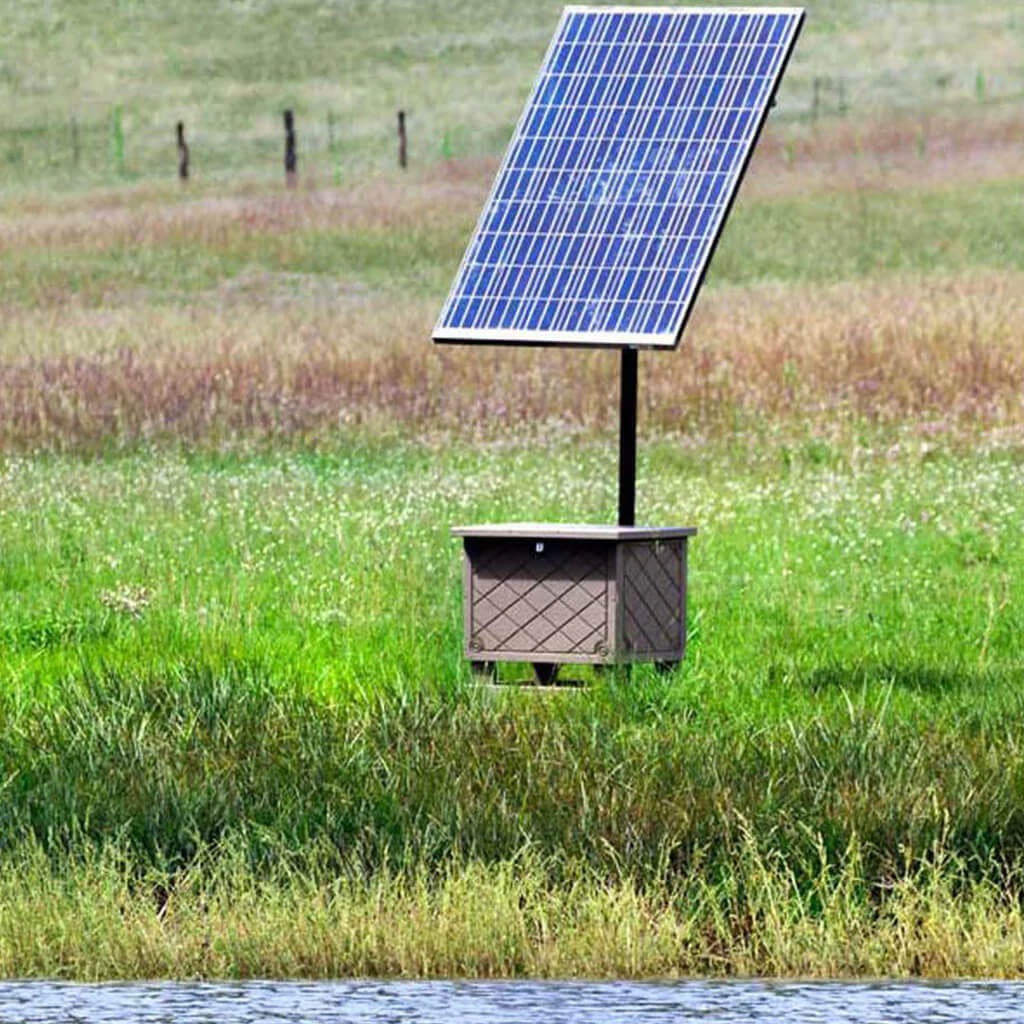 Solar vs. Electric Fountains: Which Is Right for Your Pond?