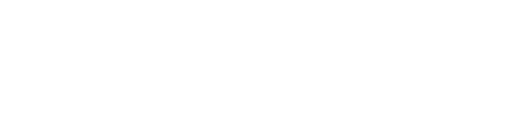 Developex Blog
