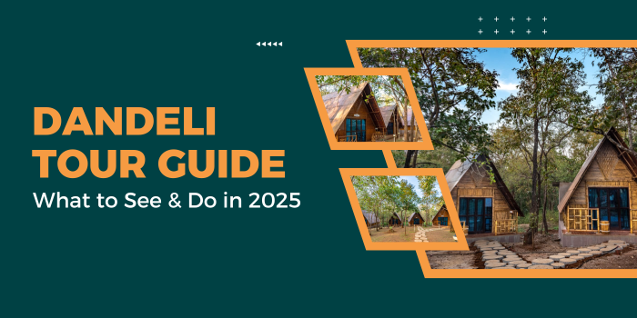 Dandeli Tour Guide: What to See & Do in 2025