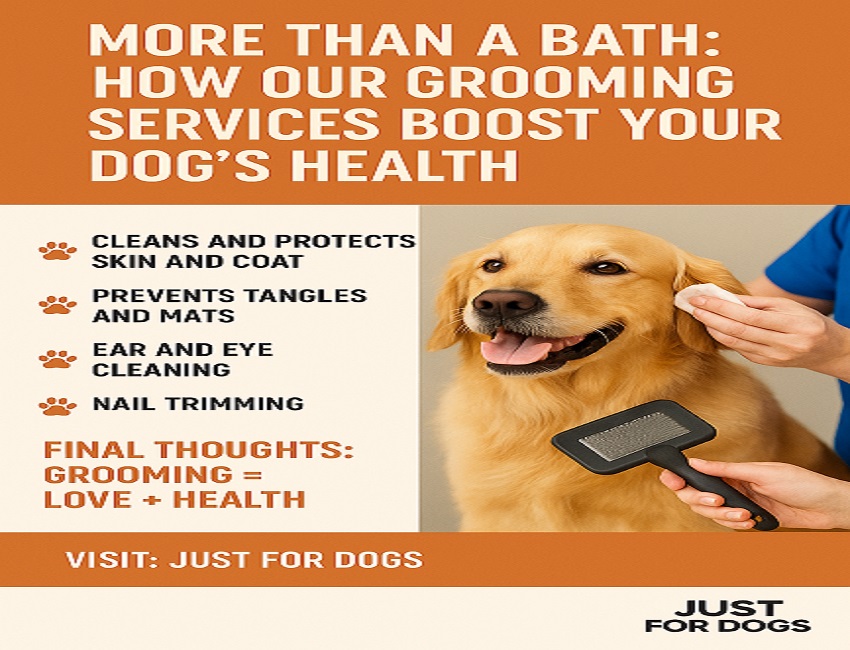 More Than a Bath: How Our Grooming Services Boost Your Dog's Health.