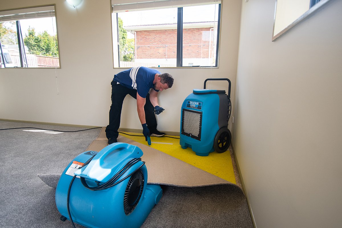 How to Stop Mold Growth After Water Damage in Chesterfield