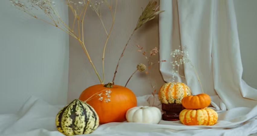 Curated Fall Porch Display – Seasonal Elegance by Pumpkin Stack