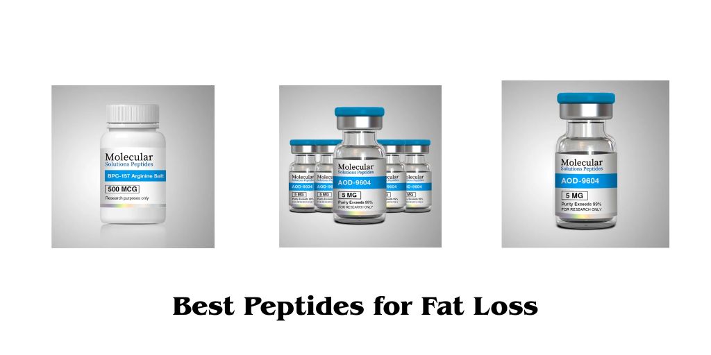 A Beginner’s Guide to the Best Peptides for Fat Loss