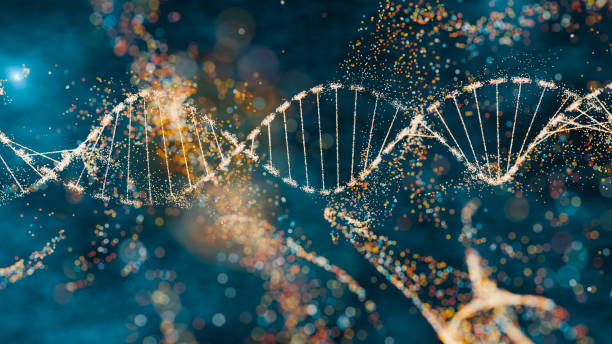 Ace Cell Biology and Ecology with Professional Biology Assignment Help