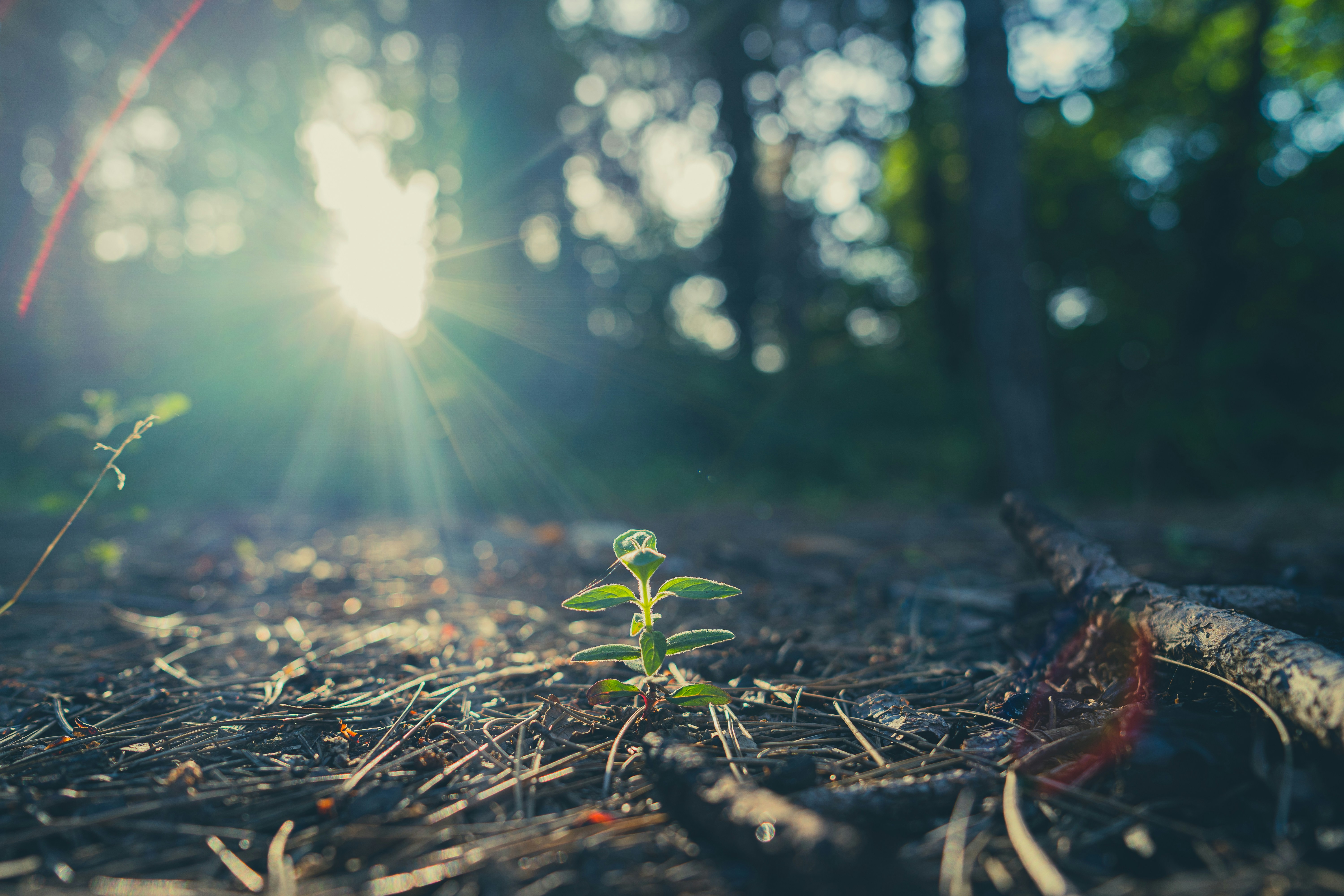 A Day in My Life – Just Another Dev Day
