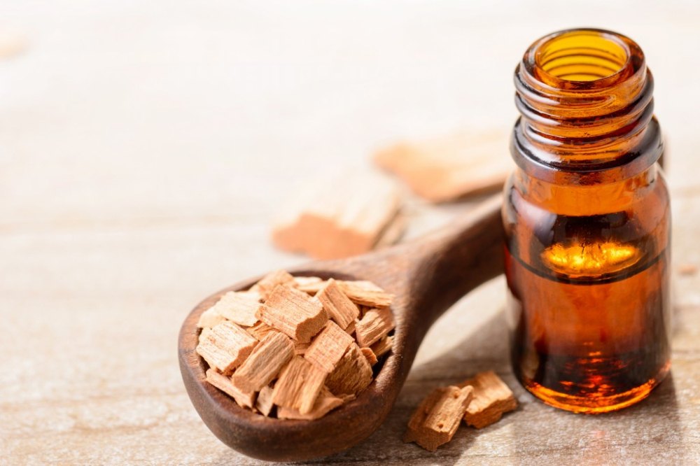 Sandalwood Oil Processing Plant Setup Report 2025: Materials Cost, and Raw Materials Requirements