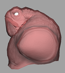 Polygon Texturing 3: Normal mapping