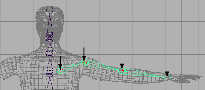 Character Setup 1:  Skeletons and kinematics
