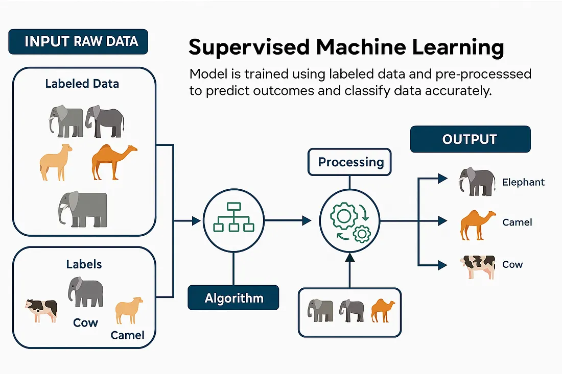 Machine Learning