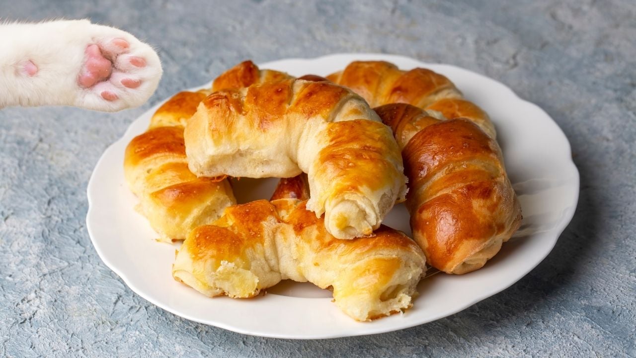 pati ve bir tabak açma