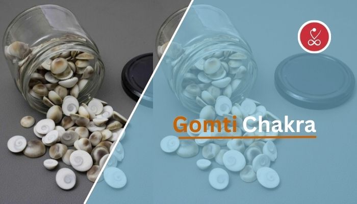 Gomati Chakra – Spiritual Meaning, Benefits, and Vedic Insights