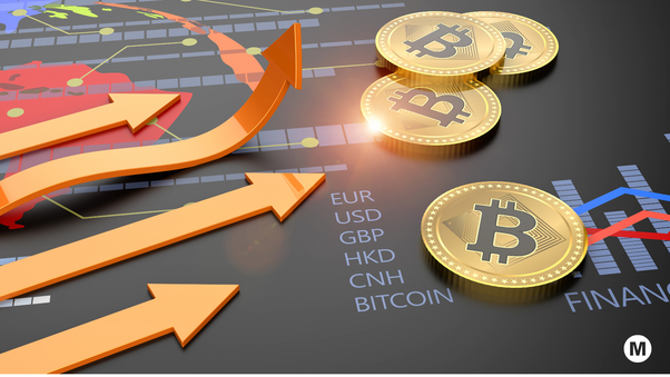 Use Flash Coin (btc & Usdt) And Invest In Crypto Trading