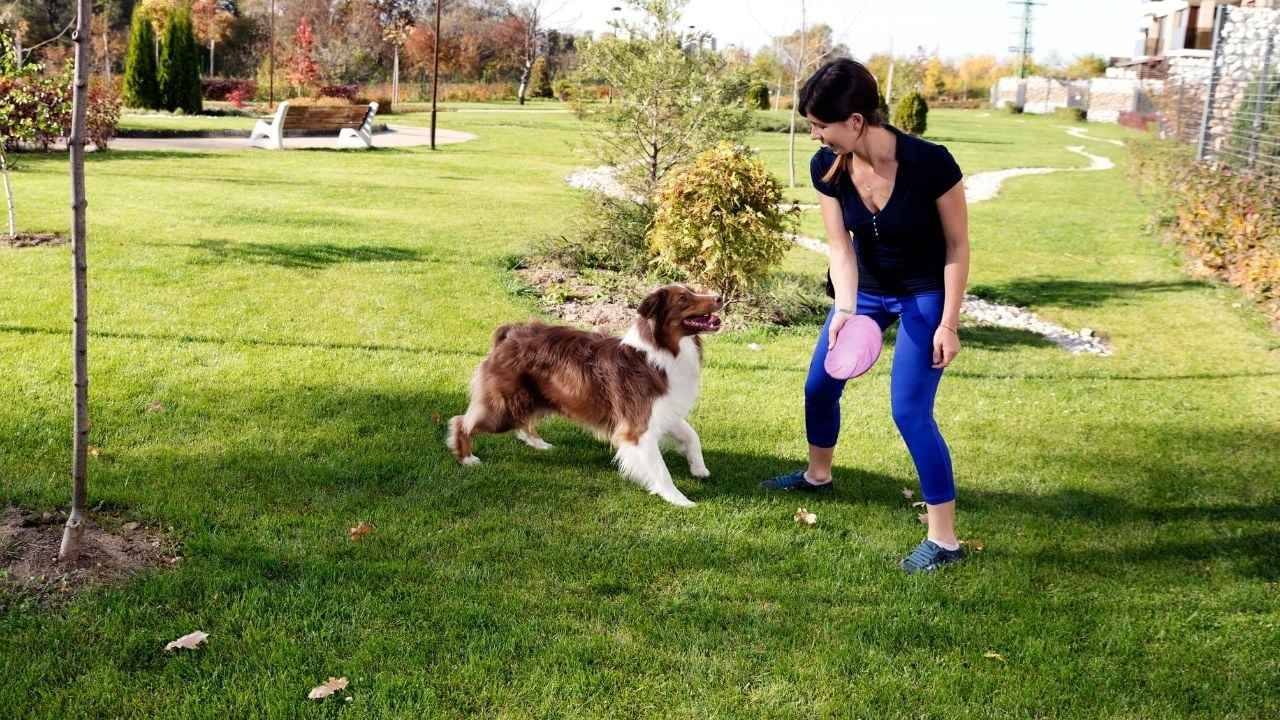 kadın köpeği ile oyun oynuyor