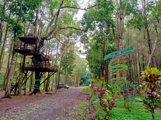 Banyuwangi: Destinasi Outbound yang Kompetitif untuk Team Building dan Gathering Perusahaan