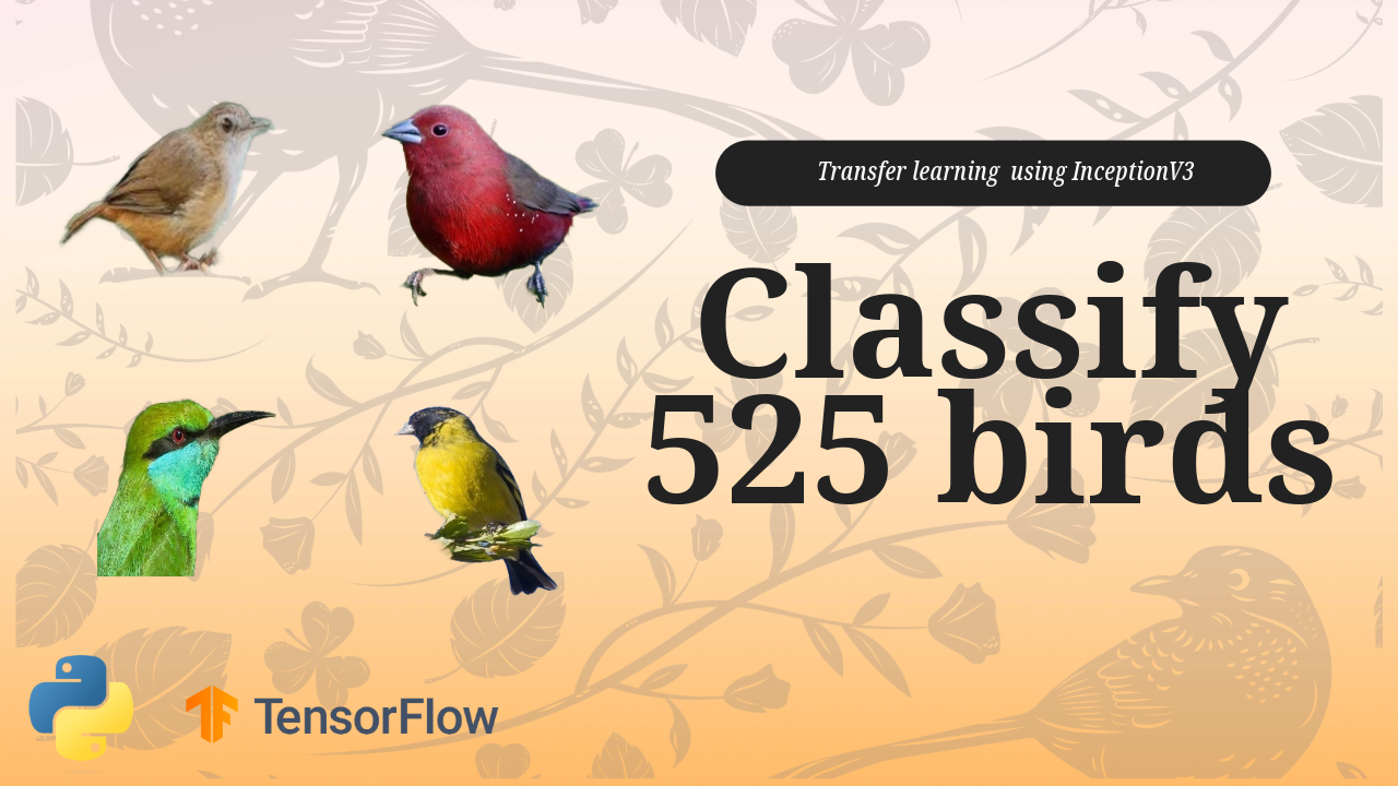 How to classify 525 Bird Species using Inception V3