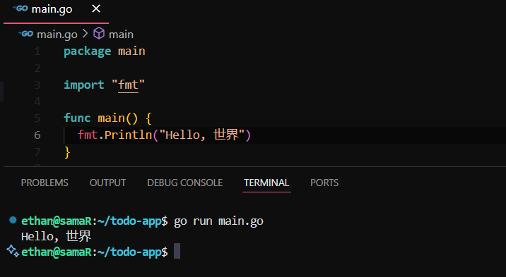 Golang's docs provide with this get started code