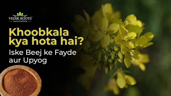 Khoobkala kya hota hai? Iske Beej ke Fayde aur Upyog