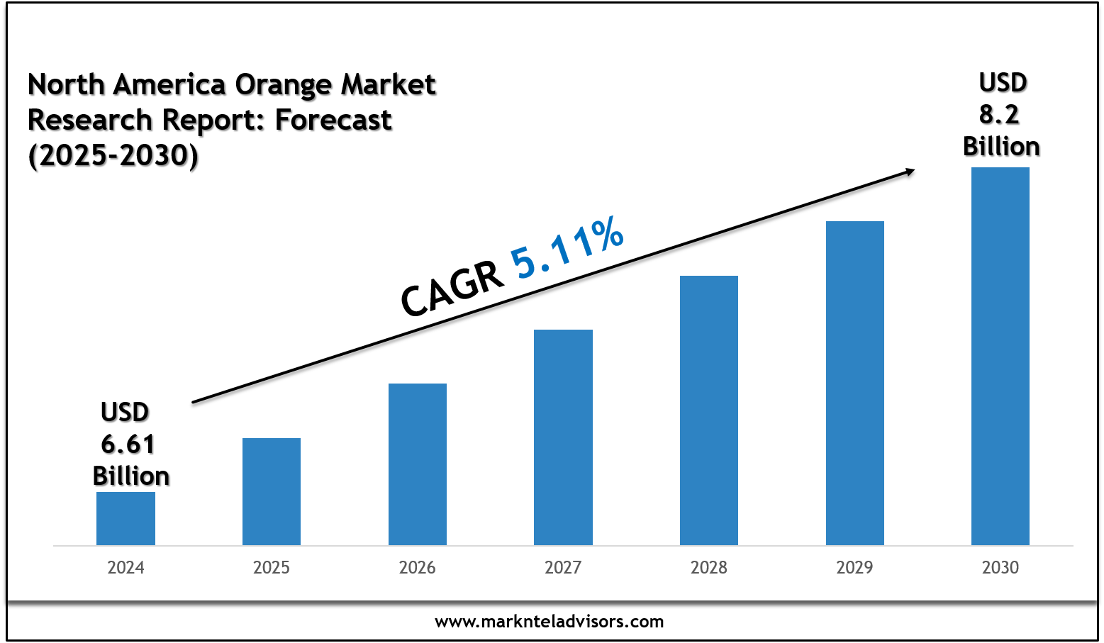 North America Orange Market 2030: Strategies of Forecast Insights