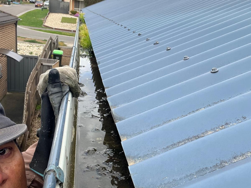 Gutter Cleaning Collingwood: Your FAQs Answered