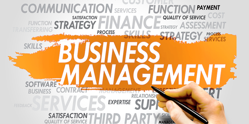 Business Management Consulting Service Market Growth, Key Players, and Segmentation Insights (2024–2032)