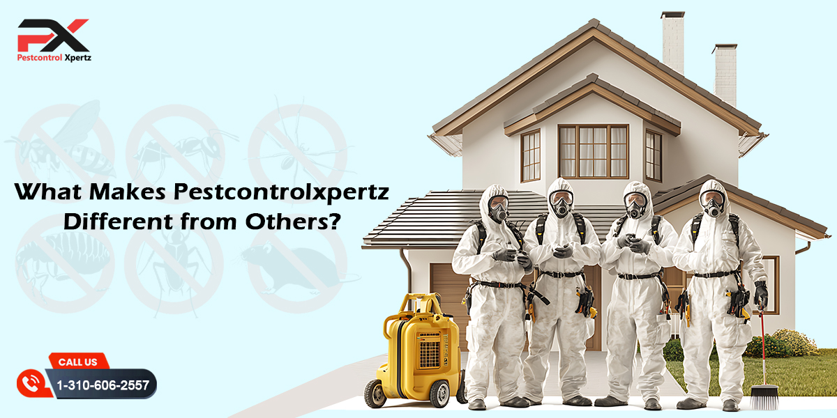 PestXpertz Your Trusted Partner for Pest-Free Living