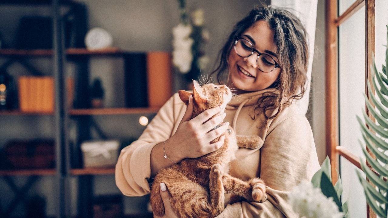 kedi kadının kucağında