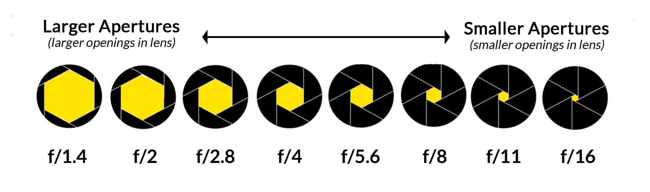image info