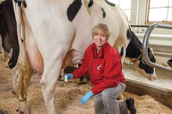 Bovine Mastitis Market Size, Trends, Growth, and Strategic Insights 2025-2032