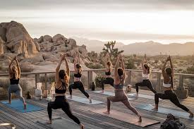 Wellness Retreats Business Plan 2025: Setup, Costs & ROI