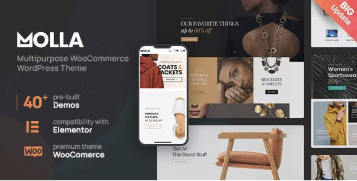 From Blank WP to Polished Store: A Hands-On Guide with Molla