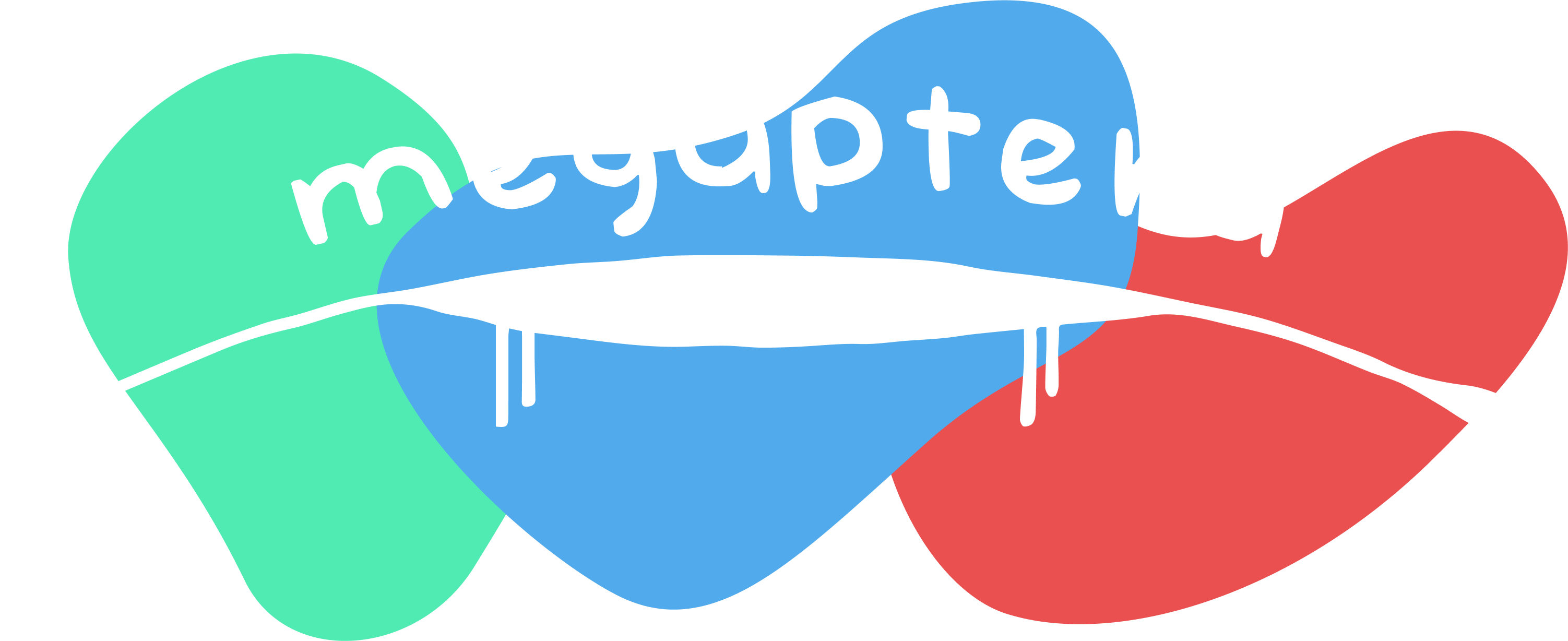 Megaptera Fingerboards blog