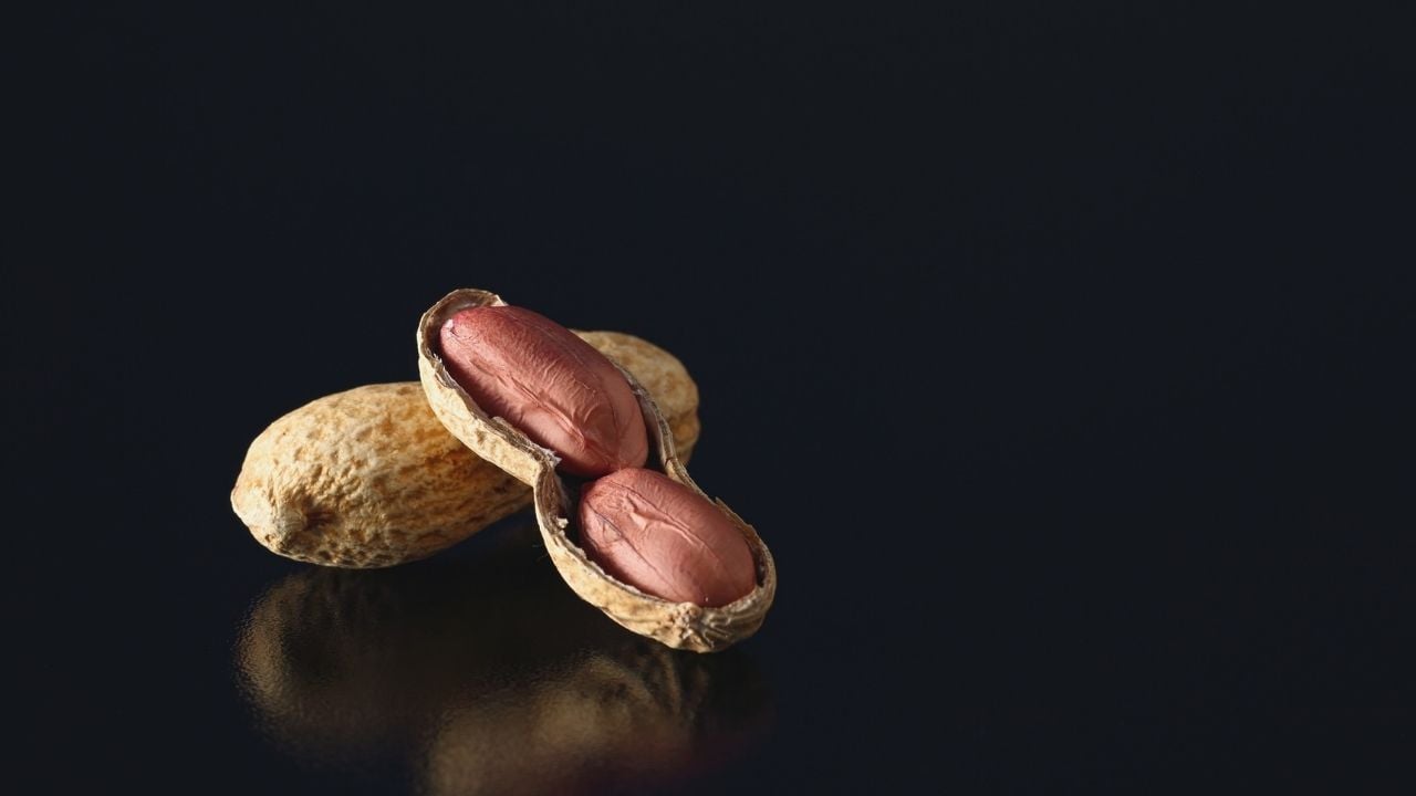 içi açılmış yer fıstığı