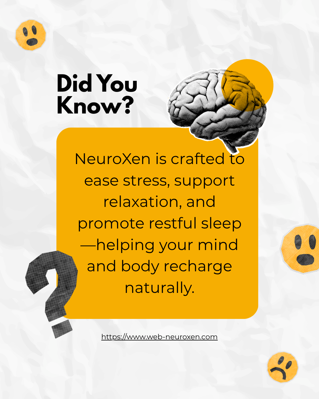 NeuroXen – Your Natural Edge for Focus, Memory & Mental Clarity.