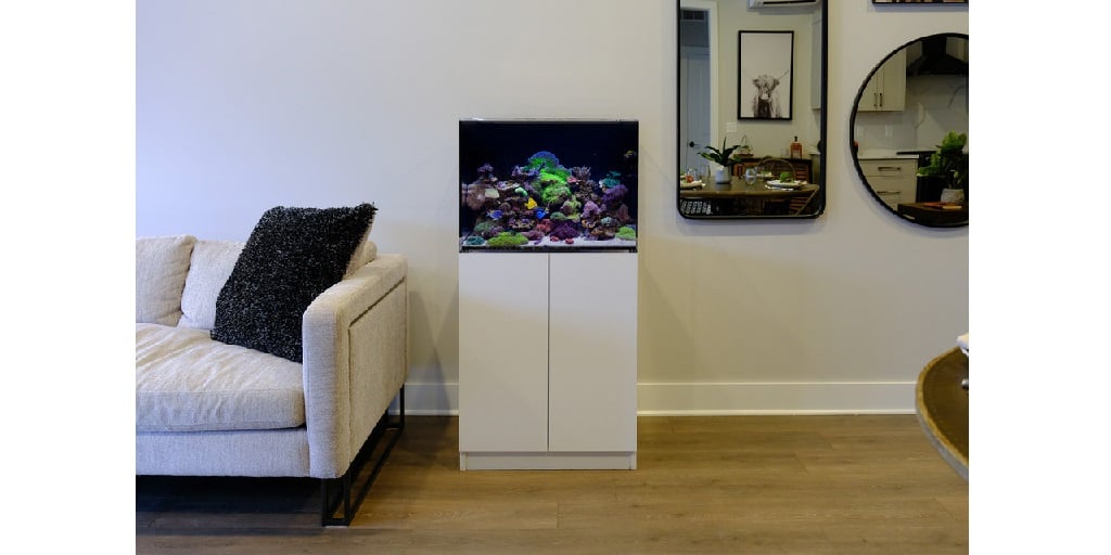 Why Aquarium Kits Make Sense for First-Time Aquarium Owners