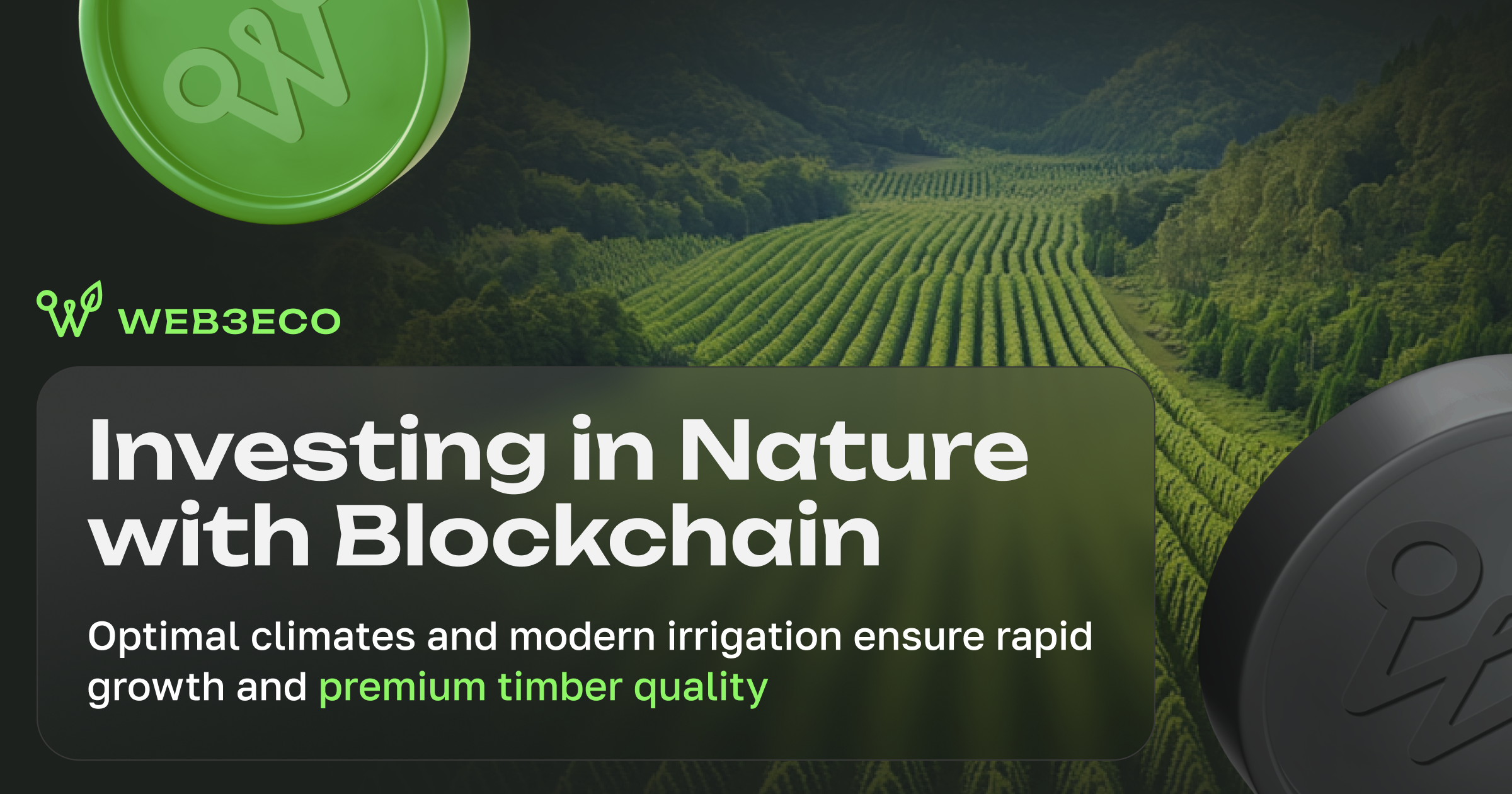🌳 Web3Eco Goes Global: Scaling Paulownia Plantations with Real-World Assets